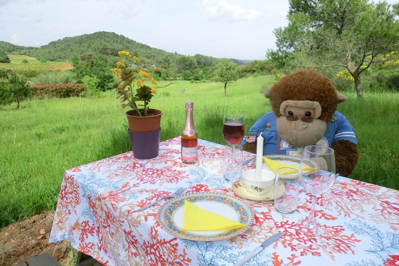 Gite Charlrose At La Platriere Cazedarnes エクステリア 写真
